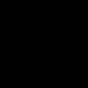 Meet your Posher, Ellen